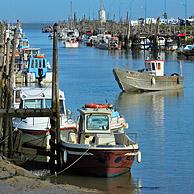 Fishing boats and oyster farming boats in the harbour Port du Bec near Beauvoir-sur-mer, La Vendée, Pays de la Loire, France
<BR><BR>More images at www.arterra.be</P>